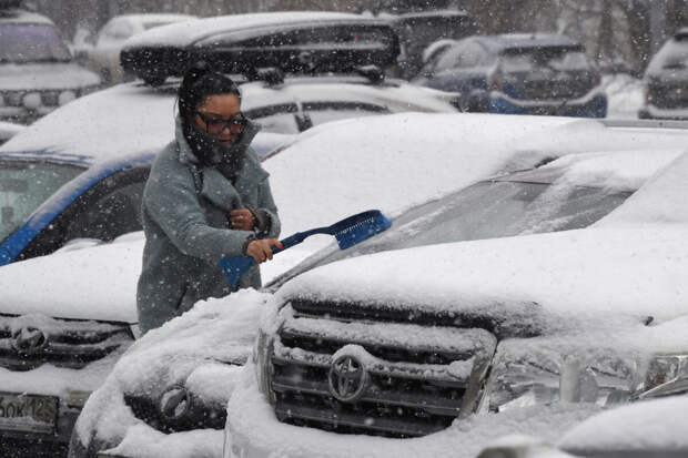 Химик Дорохов: оставленные в автомобиле документы в мороз могут испортиться