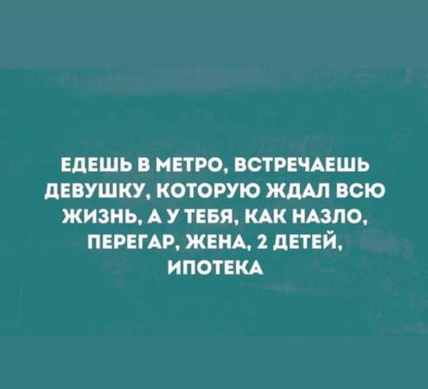 Подборка картинок. Дневной выпуск (20 фото)
