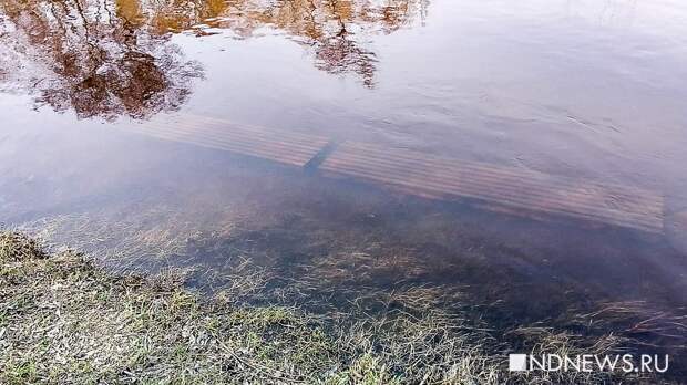 В центре Екатеринбурга Исеть вышла из берегов