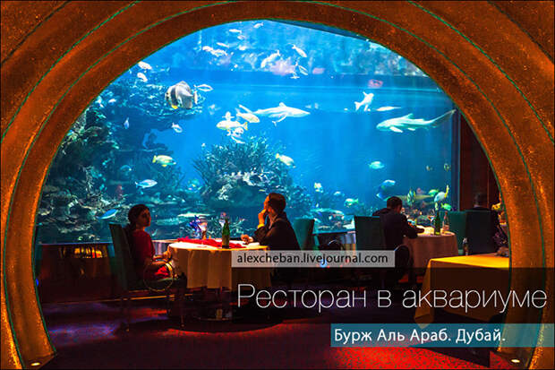 Подводный ресторан под 