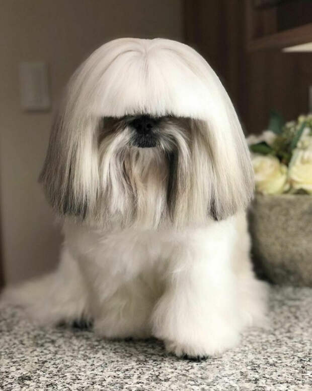 1615553237_pressa_tv_e40fcf63-205b-4e2d-9ba0-944dec08dd98 (560x700, 252Kb)