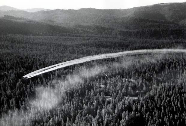 1955. Fort tri-motor spraying DDT. Western spruce budworm control project. Powder River control unit, OR
