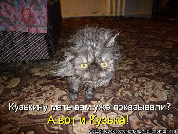 Котоматрица - Кузькину мать вам уже показывали? А вот и Кузька!