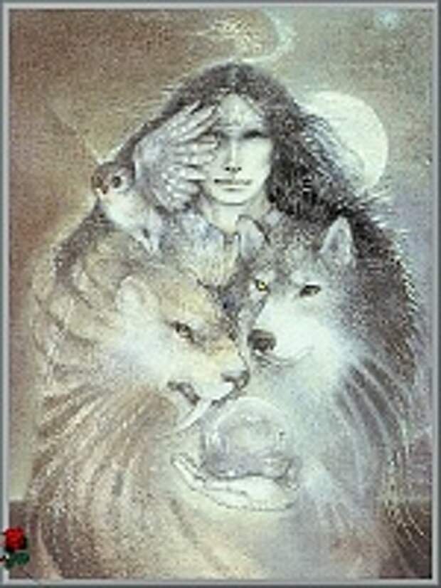 Susan Seddon Boulet 23
