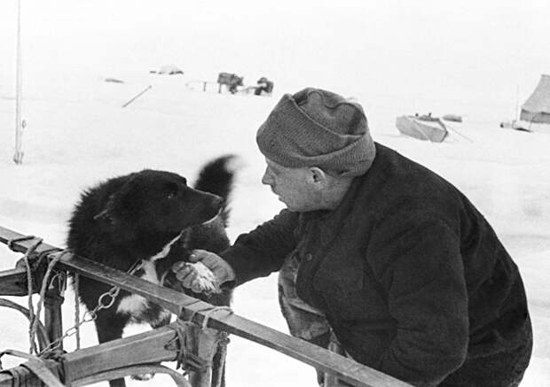 Необходимость создания дрейфующих станций для изучения Арктики связана с отсутствием суши в центральной части Северного Ледовитого океана, пригодной для устройства постоянных наблюдательных пунктов. Официальное открытие первой в мире дрейфующей станции "Северный полюс" состоялось 6 июня 1937 года. На фото: начальник дрейфующей станции "Северный полюс-1" Иван Папанин и пес по кличке Веселый