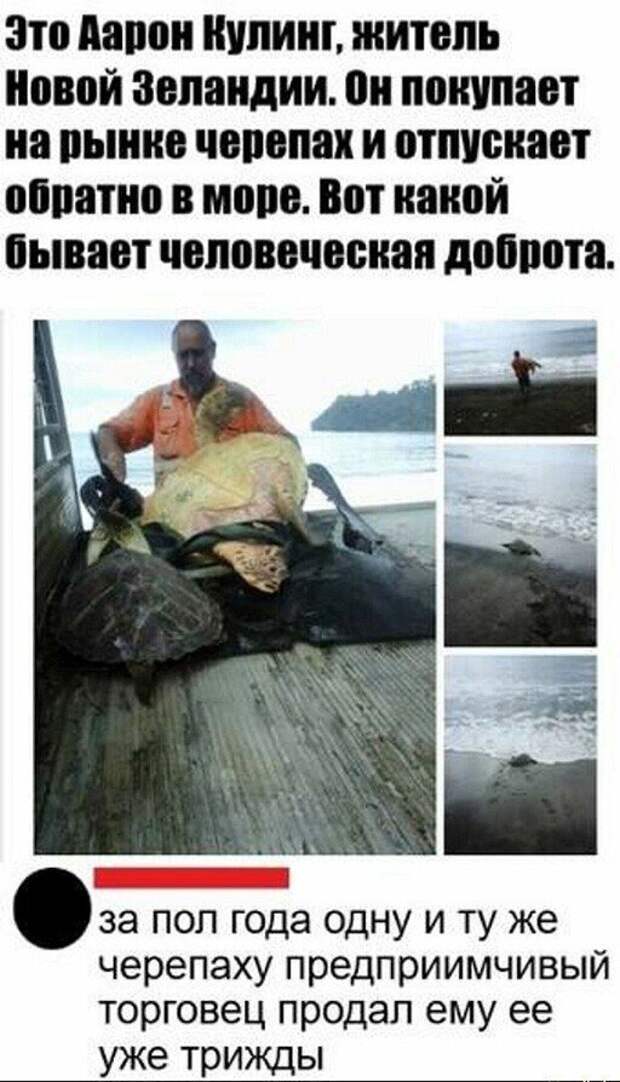 Скрины из соцсетей
