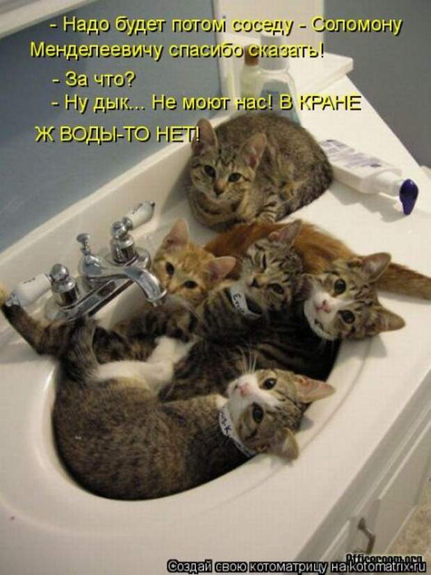 Новые крутые котоматрицы первой недели октября (50 фото) Новые крутые котоматрицы первой недели октября (50 фото)