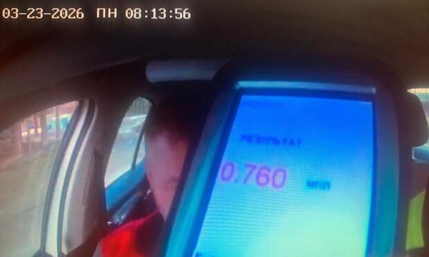 Пьяный водитель за рулем лесовоза попался в Виноградовском округе