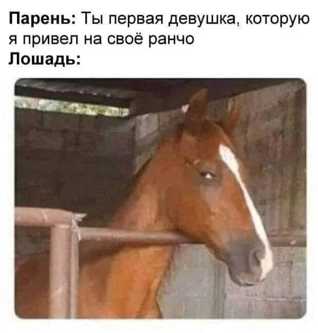 Мемы и приколы про 
