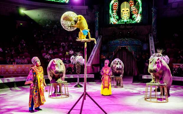 Только до 17 июля Шоу Гии Эрадзе «Песчаная Сказка» продлится в Рязанском цирке