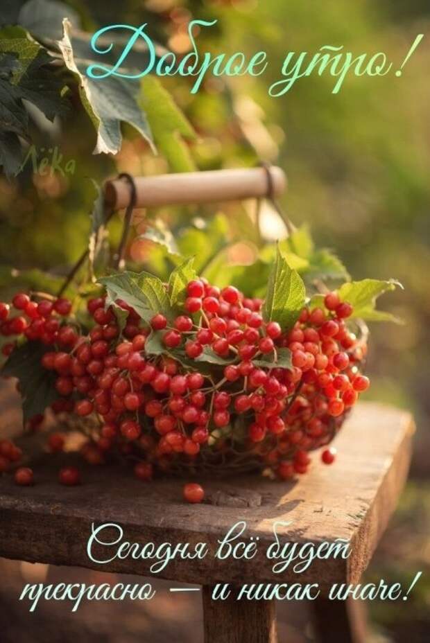 Доброе утро!#вырицаИсточник: https://t.me/viritsa1/300