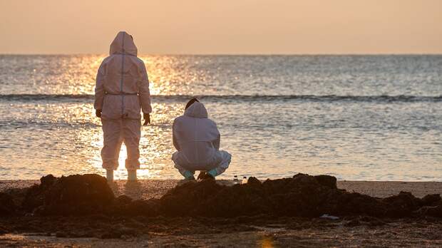 Роспотребнадзор: на пляжах Анапы можно будет провести этот летний сезон