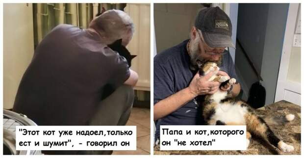 15 мужчин, которые были против кота в доме, а теперь души в нем не чают