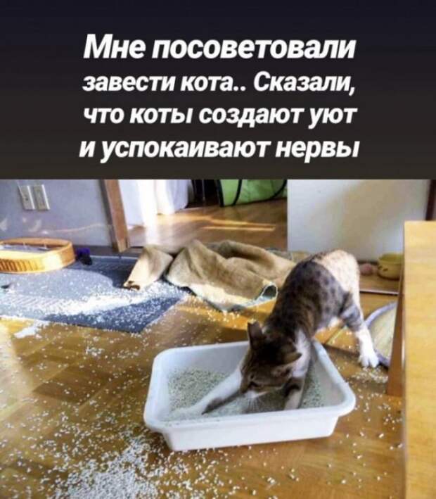 Немного картинок для настроения
