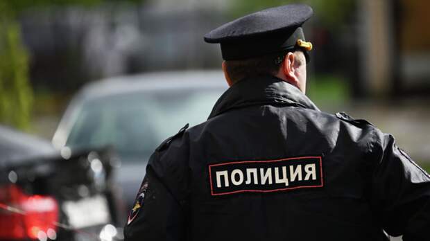 Державший у себя львёнка заявил, что его кинули на деньги продавцы животного