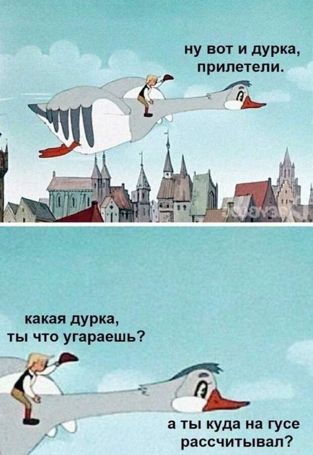 смешные картинки и мемы