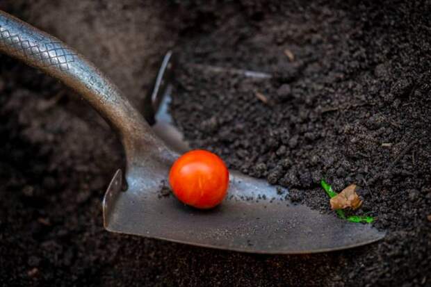 CNN: Миллионам американцев не хватит еды