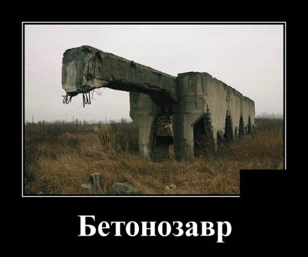 Демотиваторы (20 фото)