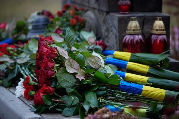 8 лет государственному перевороту на Украине и украинской трагедии