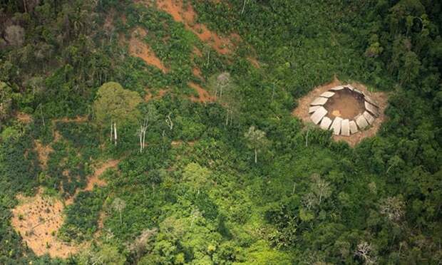 В лесах амазонки обнаружены племена ни разу не контактировавшие с цивилизацией! Их ждет ужасная участь…
