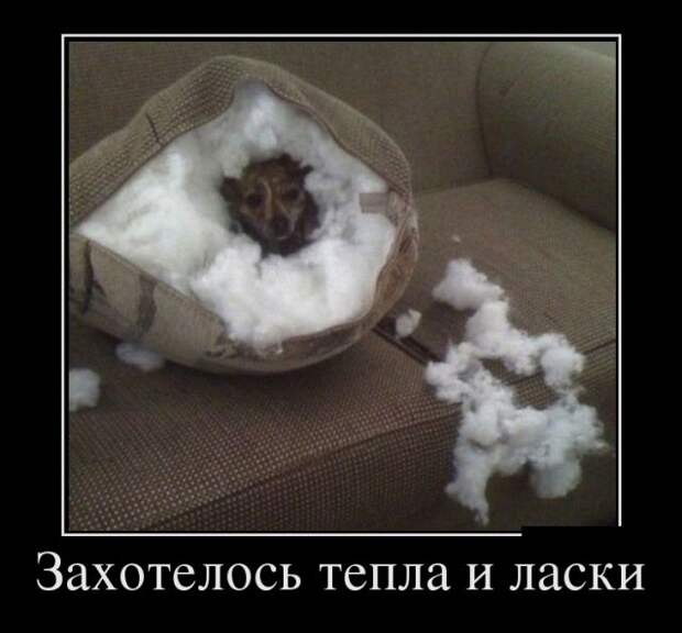 Свежие и позитивные демотиваторы для веселья (11 фото) Свежие и позитивные демотиваторы для веселья (11 фото)