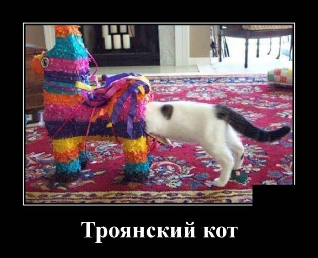Демотиваторы (30 фото)