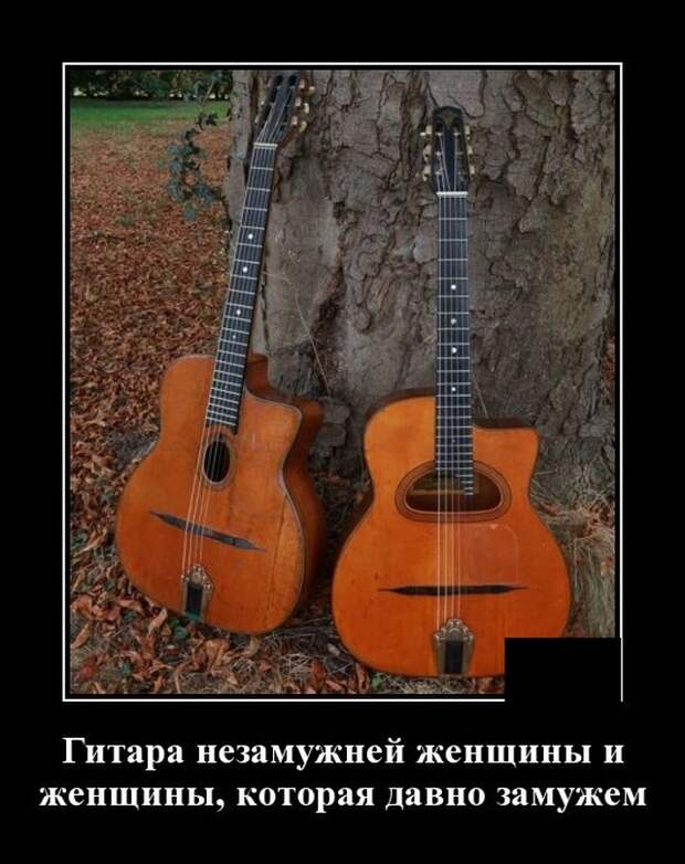 Демотиваторы (20 фото)