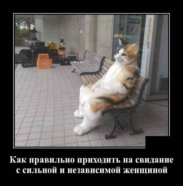 demotivatory-demotivator-smeshnye-demotivatory-demotivator-so-smyslom