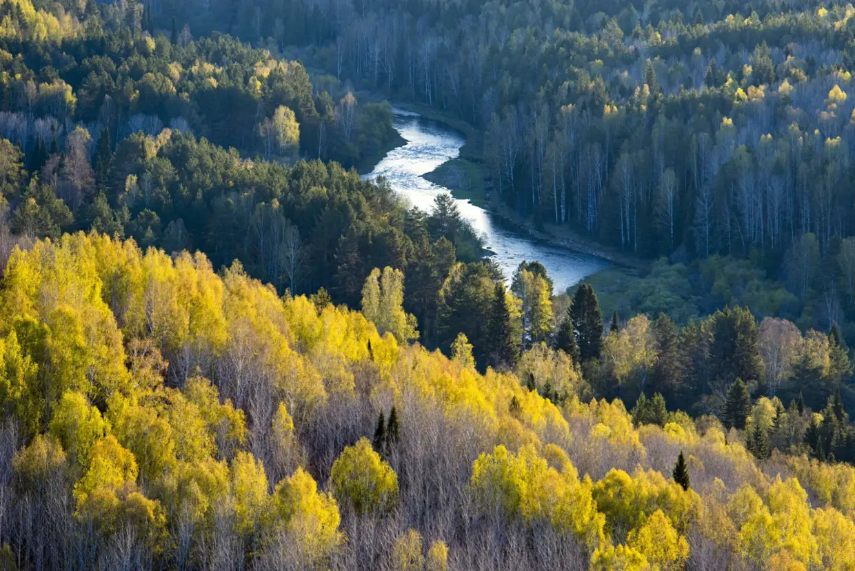Бодибилдер әйелмен онлайн порно