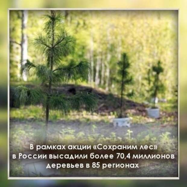 Природа в жизни человека играет важную роль: она дарует жизнь, здоровье, воду, воздух, землю, полезные ископаемые, пищу. Природа в жизни человека играет важную роль: она дарует жизнь, здоровье, воду, воздух, землю, полезные ископаемые, пищу.