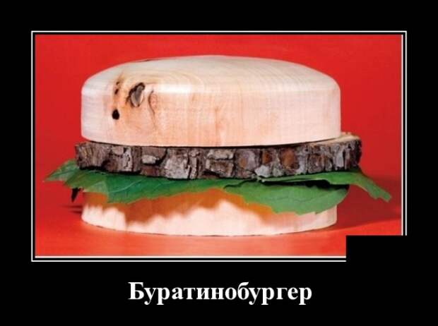 Демотиваторы (30 фото)