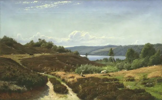 �������� ���� �����