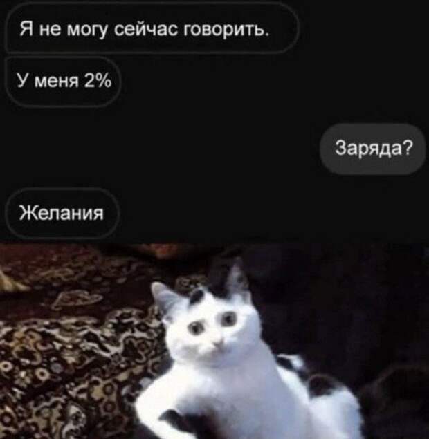 Лучшие шутки и мемы из Сети