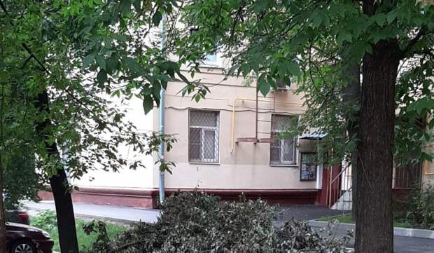 Двор на Коминтерна очистили от спиленных веток