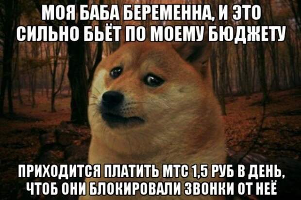 Черного юмора пост (53 фото)