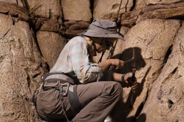 В Китае нашли окаменелые останки неизвестных рыб возрастом 244 млн лет