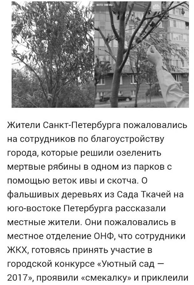 Маразмы ЖКХ