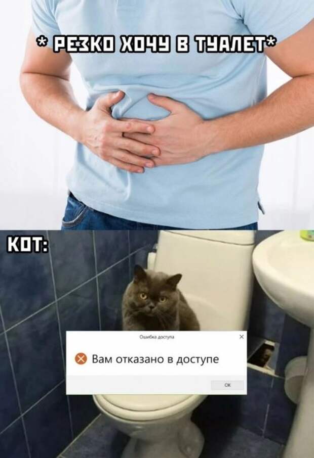 Смешные картинки и мемы (15)