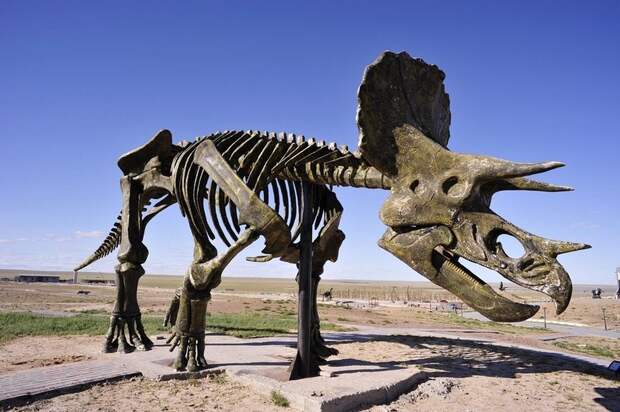 KissingDinosaurs07 KissingDinosaurs07 Целующиеся динозавры Эрэн Хото в Китае