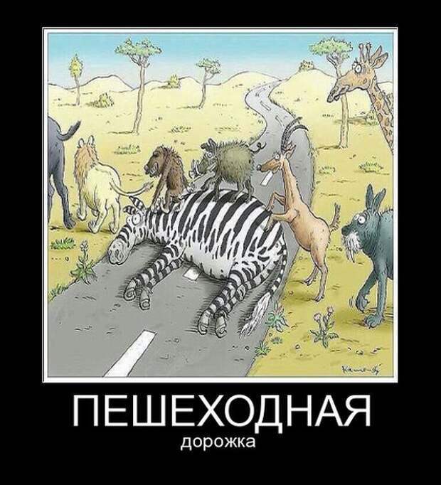 Демотиваторы (30 фото)
