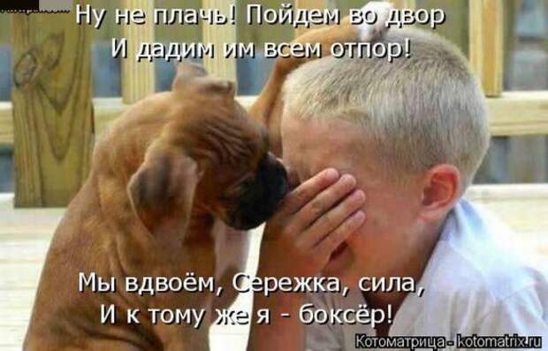 Котоматрицы(картинки с надписями)