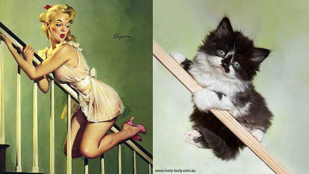 Кошки и девушки в стиле пинап pinupcats13 Кошки и девушки в стиле пинап