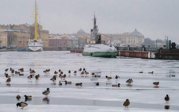 Во вторник циклонический вихрь принесёт в Петербург весеннее тепло и дожди