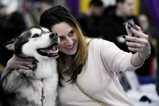 Выставка собак Westminster Kennel Club 2019