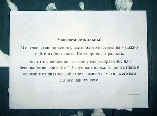 Самые добрые объявления добро, объявление