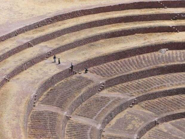 Terraces11
