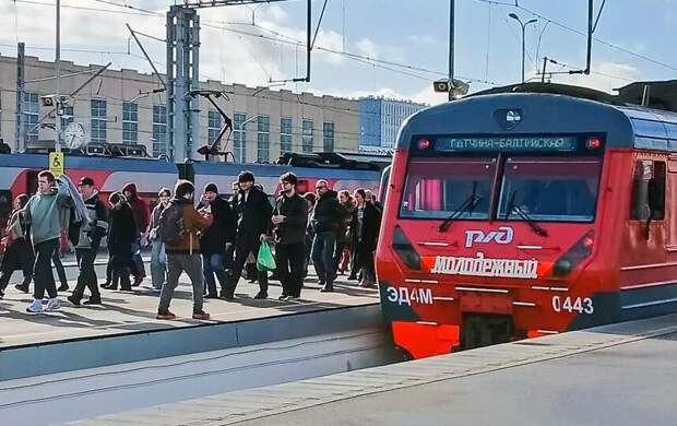 Новый тактовый маршрут запустили между Петербургом и Гатчиной