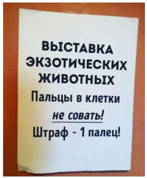 Бужу по утpам. Возможны ваpианты: звонок в двеpь, по телефону...