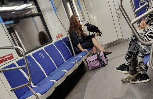 Модники и чудаки из метро