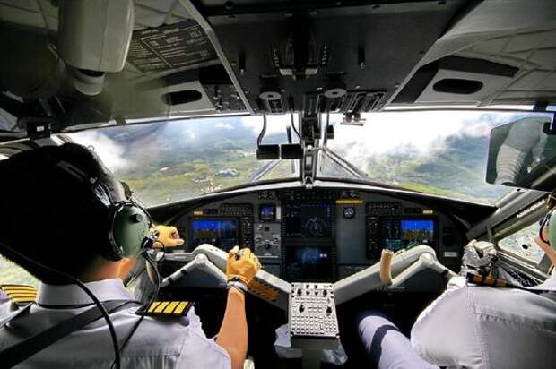 Экипаж аварийно севшего в Подмосковье самолета попал в базу "Миротворца"